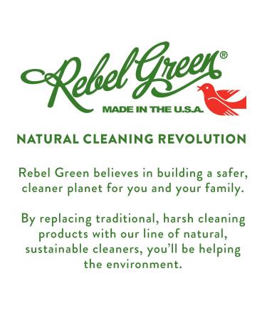 Rebel Green Super Deluxe Dish Soap - Natural & Sustainable Lavender Grapefruit Liquid Detergent (4 Pack, 16 oz) - Buy Online on SooperMarket.com