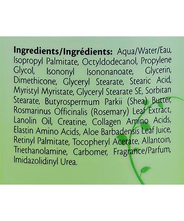 Vitabath Original Spring Green Moisturizing Body Lotion with Aloe & Shea Butter | Hydrating Formula for Dry Skin | 20 oz | Cruelty-Free & Paraben-Free - Buy Online on SooperMarket.com