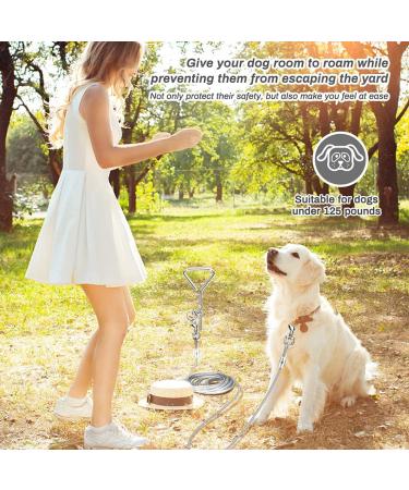 16ft Dog Tie Out Cable with Spiral Ground Stake - Up to 120lb Dogs - Perfect for Playing, Camping, and Backyard - White - Buy Online on SooperMarket.com