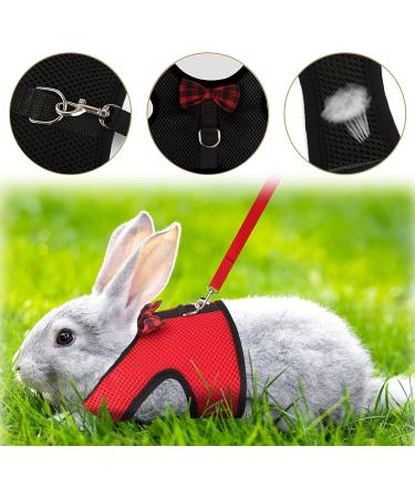 2-Pack Adjustable Pet Dishes & Leash for Rabbits Squirrels Bunnies Ferrets & Chinchillas - Ideal for International Shipping - Buy Online on SooperMarket.com