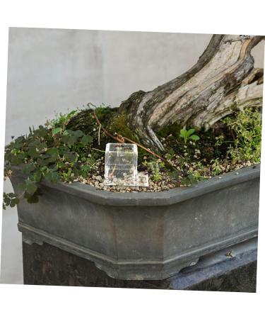 Hohopeti Pet Water Feeder Ants Feeding Bowl Insect Water Feeder Transparent Ants Feeding Cup Plastic - Buy Online on SooperMarket.com