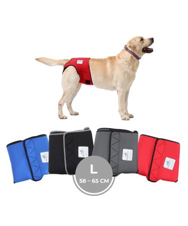 Financial trousers for bitches 2.0 - dog diapers made of high -quality perforated neoprene for an optimal air exchange - dog diapers for male without the annoying threading of the rod (L -red) L red