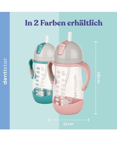 DentiStar Strohhalmbecher 260 ml - Baby Bottle with Dynamic Straw for 6 Months+ | Anti-Slip Design & Cleaning Brush | BPA Free Mint - International Shipping Available - Buy Online on SooperMarket.com