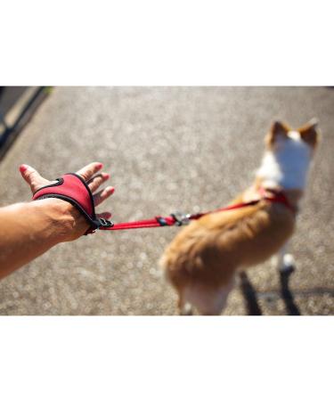EzyDog Hands-Free Dog Leash - Black | Convenient and Comfortable - Buy Online on SooperMarket.com