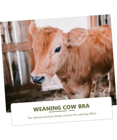 Buy Milk Hood for Cattle - Durable Plastic Cow Breast Protector & Weaner | Outdoor Farm Supplies - Buy Online on SooperMarket.com