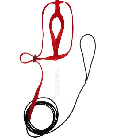 The Aviator Bird Harness for Small Birds - Red | Secure & Stylish Flight Experience - Buy Online on SooperMarket.com