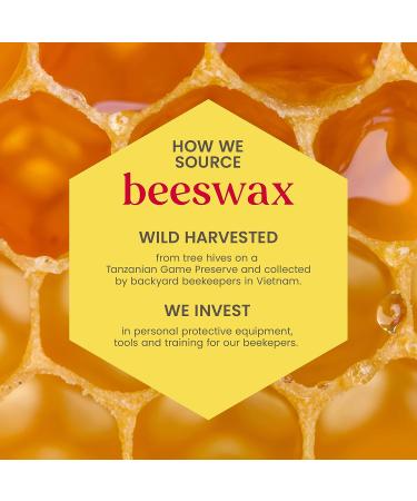 Burts Bees Beeswax Bounty Lip Balm Gift Set - 0.15 OZ | Natural Ingredients - Buy Online on SooperMarket.com