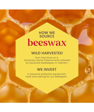 Burt's Bees Lip Care Multipack - Beeswax & Tinted Hibiscus Lip Balm Value Pack (2 x 4.25g) - Shop Internationally - Buy Online on SooperMarket.com