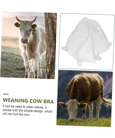 Buy Milk Hood for Cattle - Durable Plastic Cow Breast Protector & Weaner | Outdoor Farm Supplies - Buy Online on SooperMarket.com