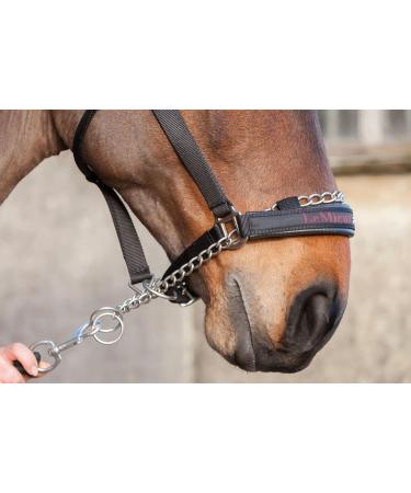 LeMieux Pro-Safe Headcollar for Horses & Ponies in Black - Adjustable for Perfect Control in Hand Use Only Full Black - Buy Online on SooperMarket.com
