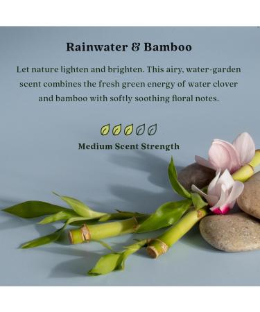 Enviroscent Non-Toxic Air Freshener Refills - Rainwater & Bamboo | Essential Oil Plug-In Refills | Long Lasting Home Fragrance - 90+ Days | 2 Liquid Pod Refills - Buy Online on SooperMarket.com