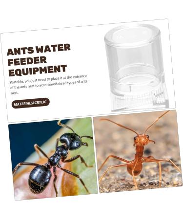 Parliky Pet Water Feeder Ant Feeder Station Ant Bottle Feeder Ant Nest Water Feeder Transparent Plastic - Buy Online on SooperMarket.com