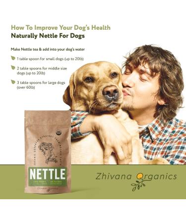 Organic Stinging Nettle Tea - 100 Bags - Joint & Blood Sugar Support, Allergy Relief - Urtica Tea - Buy Online on SooperMarket.com