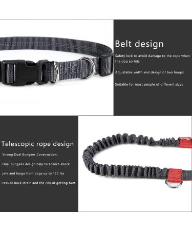 Achort Hands-Free Dog Leash & Waist Belt with Bungee - Reflective Adjustable for Dogs Up to 110 kg - Perfect for Running & Jogging (Red) - Buy Online on SooperMarket.com