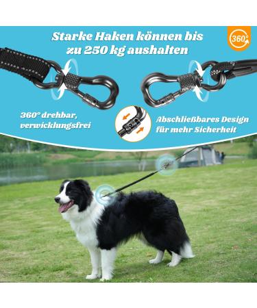 Buy Aystkniet Bungee Dog Leash - 3m to 30m Shock-Absorbing Leash for Medium & Large Dogs Padded Handle & Reflective Threads International Shipping Available - Buy Online on SooperMarket.com