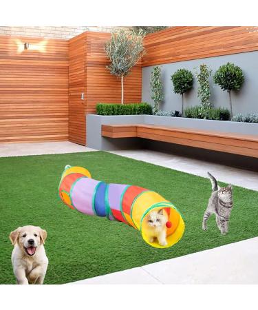 Interactive Cat Tunnel Toy for Indoor Cats - Collapsible S-Style Rainbow Tunnel for Kittens, Rabbits, and Puppies - Buy Online on SooperMarket.com
