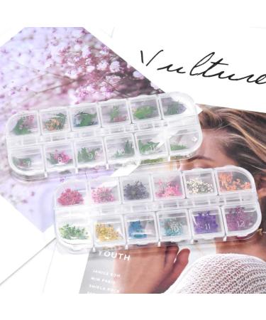 Dokpav 2 Boxes Dried Flowers for Nail Art - 24PC Green Leaves & Real Flower Set with Curved Tweezers | 3D Nail Art Accessories for Stunning Nail Decor - Buy Online on SooperMarket.com