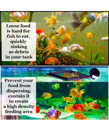 SunGrow Feeding Ring for Goldfish & Small Fish - Floating Food Square | Perfect for Flakes | 1 Piece - Buy Online on SooperMarket.com