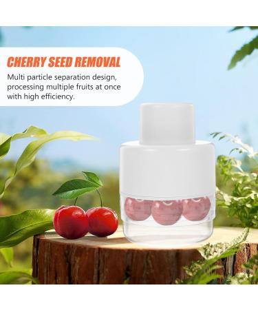 Zerodeko Fruit Corer Reusable Cherry Pitter Household Red Date Corer Fruit Pill Organizer Plastic Cherry Pitter Kitchen Olive Pitter Daily Use Red Date Corer Strawberry Core Remover - Buy Online on SooperMarket.com