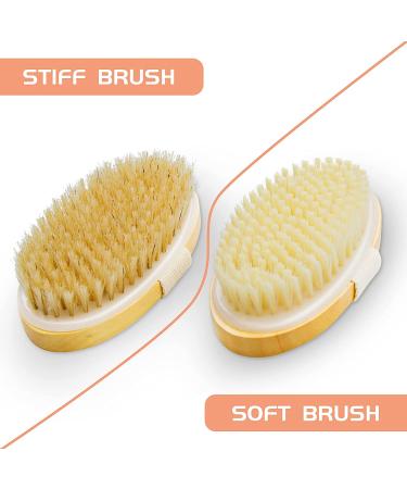 2 Pack Exfoliating Dry Brushes for Cellulite & Lymphatic Drainage - Body Scrub Set with Natural Bristles & Massage Nodules - Buy Online on SooperMarket.com
