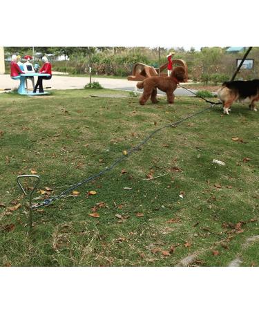 Dog Stake Metal Pet Stake Spiral Tie-Out Pet Supply Tether Dog Leash Anchor Stakes with Spiral Shape Suitable for Outdoor Yard and Camping Small Medium and Large Pets Stake-Out Spike Dog tie out - Buy Online on SooperMarket.com