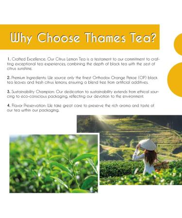 Thames Tea - Premium Flavoured Loose Leaf Fruit & Herbal Tea | Citrus Lemon | Luxury British Tea Offering - Buy Online on SooperMarket.com
