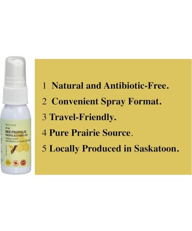 Bee Propolis Throat Spray Alcohol Free 30ml Soothing Immune Support From Prairies saskatchewan. pack of 1 - Buy Online on SooperMarket.com