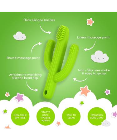 Baby Cactus Teether - Infant Training Toothbrush in Green | Eco-Friendly Silicone Teething Toy - Buy Online on SooperMarket.com