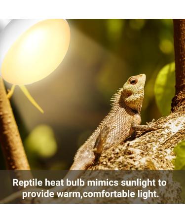 Caldarax 2 Pack Reptile Heat Lamp Bulb 50W E27 Daylight Basking Spot Bulb UV Heat Bulb for Reptiles Tortoise Bearded Dragon Snakes Lizards Chicks 50.0 - Buy Online on SooperMarket.com