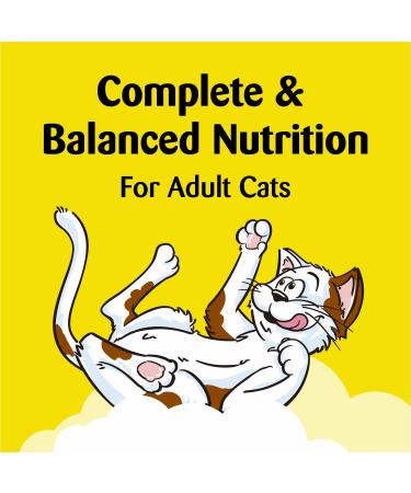 TEMPTATIONS Classic Crunchy and Soft Cat Treats Blissful Catnip - Multiple Sizes - 3oz (12 Pack) - Buy Online on SooperMarket.com