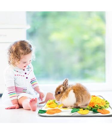 Rabbit Foraging Mat with Fixing Handle - Interactive Snuffle Pad for Rabbits, Guinea Pigs, Ferrets - Machine Washable Polar Fleece Feeding Mat - Buy Online on SooperMarket.com