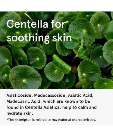 ONE THING Centella Moisturizing Sunscreen | CICA Soothing & Hydrating UV Protection | Reef-Friendly Mineral Cream for Sensitive Skin | Korean Skincare 1.69 Fl Oz - Buy Online on SooperMarket.com