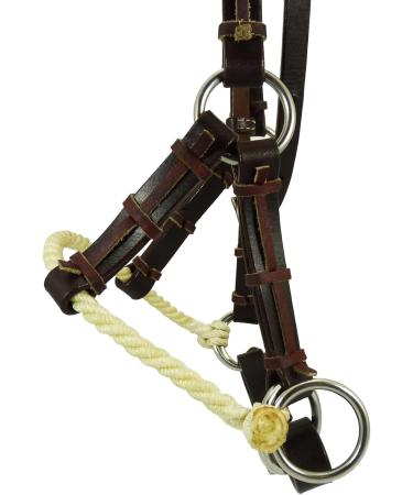 Thor Equine Bitless Side Pull for Horses - 100% Cowhide & Stainless Steel - Adjustable Dark Brown Nose Strap - Gentle Alternative to Traditional Bits - International Shipping Available - Buy Online on SooperMarket.com