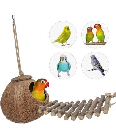 Niteangel Natural Bird Nests Coconut Hideaway with Ladder Bird and Small Animal Toy (House with Ladder Natural Surface) House with Ladder Natural Surface - Buy Online on SooperMarket.com