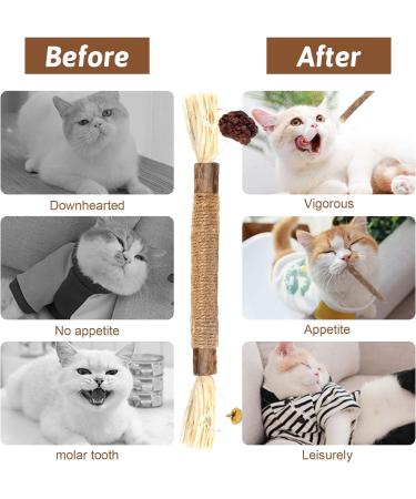 Dacitiery Cat Silvervine Chew Sticks Cat Toys Natural Cat Teeth Nip Cleaning Teeth Chew Catnip Toys for Indoor Cat Teeth Cleaning Kitten Teething and Stress Release (3 Style 6 Pack) - Buy Online on SooperMarket.com