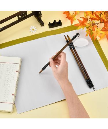 PandaHall 14pcs Chinese Calligraphy Set with Reusable Water Writing Cloth - Traditional Brushes for Beginners Practice | 17x13 White - Buy Online on SooperMarket.com