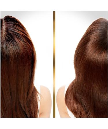 Pantene Cleanse & Reconstruct Shampoo - 250ml | For Greasy Roots & Damaged Lengths | Nourishing & Cleansing Formula with Pro-V Blend - Buy Online on SooperMarket.com