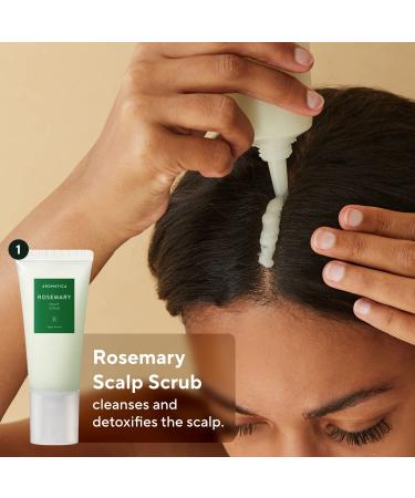 AROMATICA Rosemary Scalp Scaling Trial Kit with Mini Wooden Hair Brush - Clearer, Dandruff-Free Hair - Plant-Based Vegan Shampoo - 3.38 fl. oz Shampoo + 1.01 fl. oz Root Enhancer & Scalp Scrub - Buy Online on SooperMarket.com