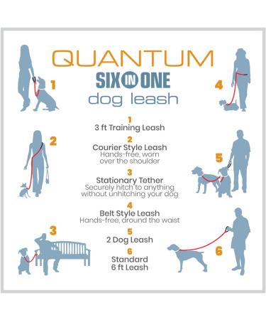 Kurgo Quantum 6-in-1 Dog Leash | Multi-Use Hands-Free Dog Lead for Walking & Running | Adjustable | Black/Orange - Buy Online on SooperMarket.com