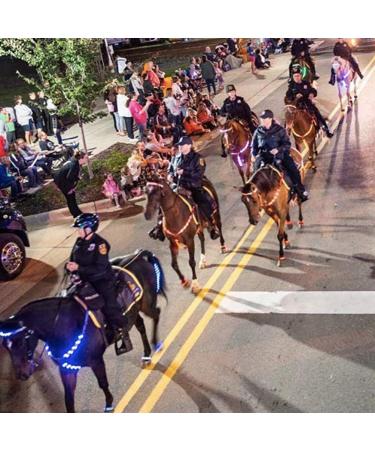 TYTOGE LED Horse Breatplate Collar Night Visible LED Horse Chest Collar Luminous Horse Chest Strap Safety Gear in Night Equipment Green - Buy Online on SooperMarket.com