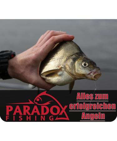 Buy Paradox Lead-Free Fishing Feeder Baskets 30g-80g | Optimal Performance for Feeder Rods | International Shipping Available - Buy Online on SooperMarket.com