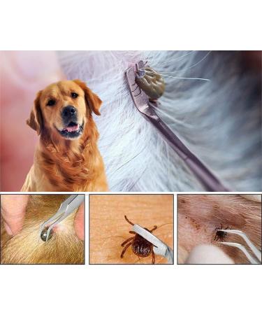 Emwel Tick Remover Tools for Dogs 4Pcs Stainless Steel Painlessly Tick Professional Tick for Dogs Cats Horses and Humans Pets Green - Buy Online on SooperMarket.com