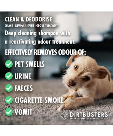 Dirtbusters Carpet Cleaner Shampoo Solution Clean & Deodorise 3-in-1 Cleaning Stain Remove & Odour Treatment Berry Fresh (1L) - Buy Online on SooperMarket.com