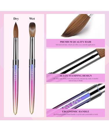 Saviland Acrylic Nail Brush Set - 4 Pcs Multicolored Acrylic & Gel Brushes (Size 10/12/14/16) for Nail Art - Perfect Gift for Women - Buy Online on SooperMarket.com