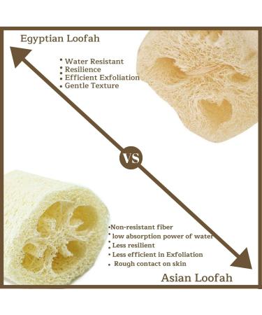 NileCart Natural Organic Egyptian Loofah Sponges - Large Exfoliating Shower Body Scrubber for Radiant Skin - 22 Inch - Pack of 1 - Buy Online on SooperMarket.com
