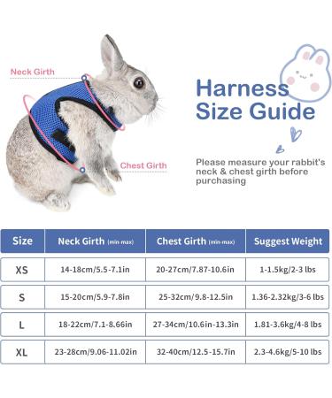 Adjustable Soft Rabbit Dishes & Elastic Leash for Small Pets - Kitty & Bunny Walking Set (Blue XS - 20-27.5cm) - Buy Online on SooperMarket.com