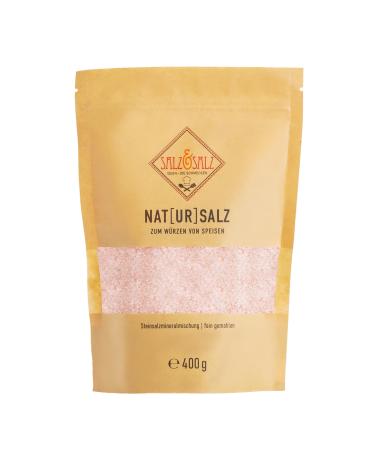 Salt & salt premium Himalaya salt Coarse & salt fine 400g & 900g - rock salt made of Pakistan without additives - natural salt unirring for salt mills and connoisseurs - pink crystal salt primeval salt rock salt 400 g (1 Pack)