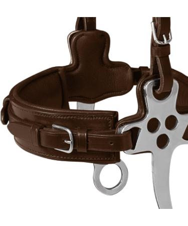 WALDHAUSEN X-Line Hackamore Bridle - Dark Brown Stainless Steel for Warmbloods - Full Size | Premium Horse Gear - Buy Online on SooperMarket.com