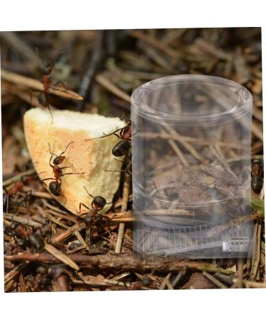VILLCASE 4 Pcs Ant Water Feeder Mini Water Dispenser Ant Drinking Tools Ant Water Drinking Bowl Pet Ant Nest 4x4cmx2pcs Transparent Colorx2pcs - Buy Online on SooperMarket.com