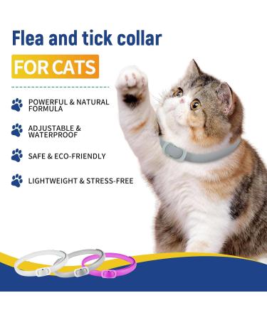 Kreezypet Flea and Tick Collar for Cats | 24-Month Protection | Essential Oils | 19 Inches | 3-Pack | International Shipping - Buy Online on SooperMarket.com